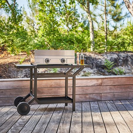 Plancha FORGE ADOUR Modern Électrique 60 cm Inox