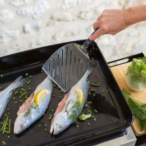 Ustensile Inox viandes et légumes qualité alimentaire 3224780040668
