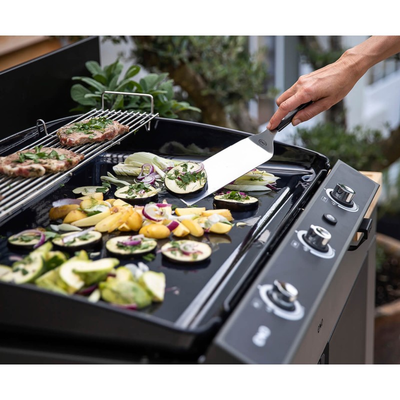 Plancha Gaz | Précision et Performance en Cuisine