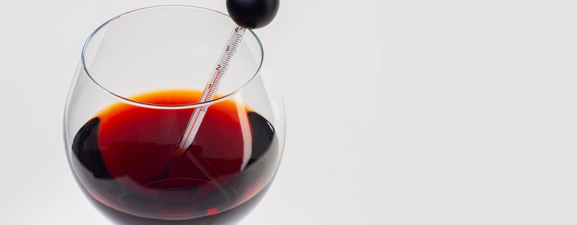 température idéale pour le vin