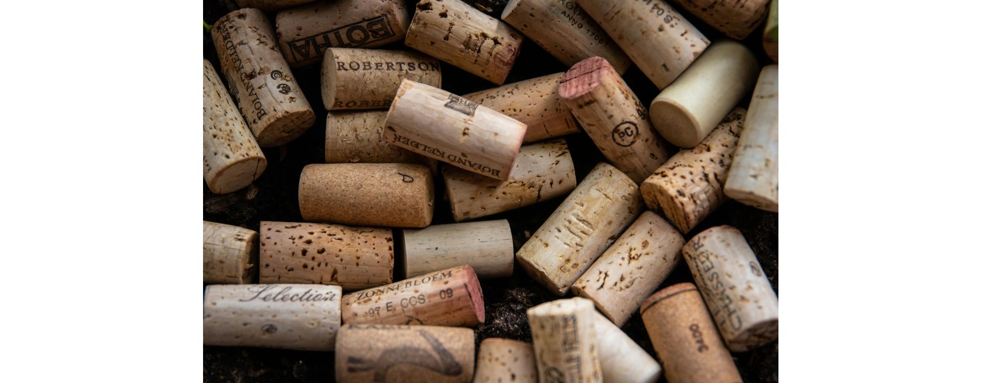 Cave à vin ou frigo : comment bien conserver ses bouteilles ?
