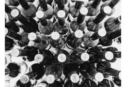 Cave à vin de service ou de vieillissement : laquelle choisir ?