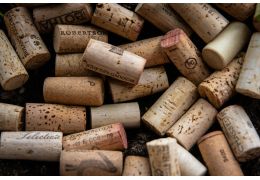 Cave à vin ou frigo : comment bien conserver ses bouteilles ?